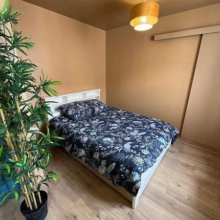 L'Ile De Bali, Sejour En Couple Ou Famille Apartment Roanne Exterior photo